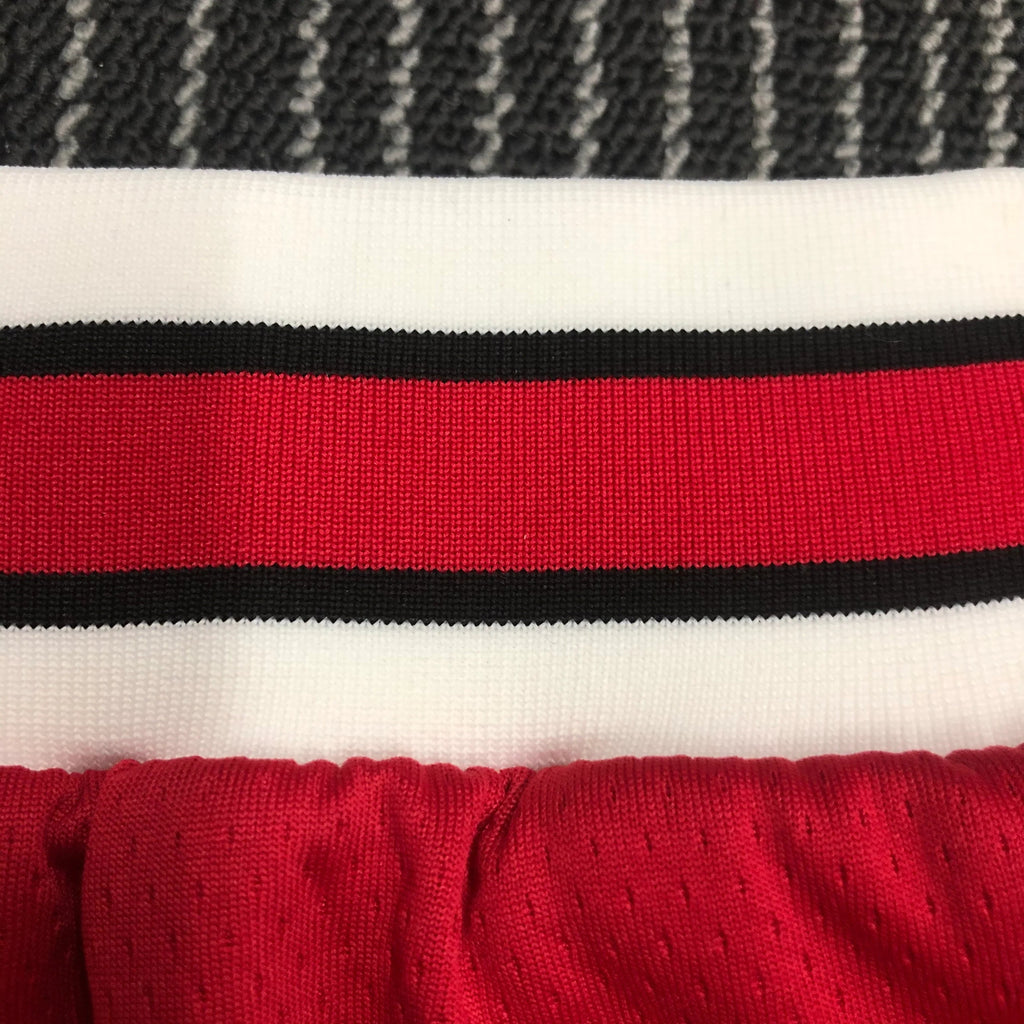 Shorts Chicago Bulls Icon Edition