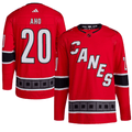Jersey Carolina Hurricanes Reverse Retro 2.0