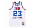 Jersey Swingman All Star East Mitchell & Ness Hardwood Classics 2003